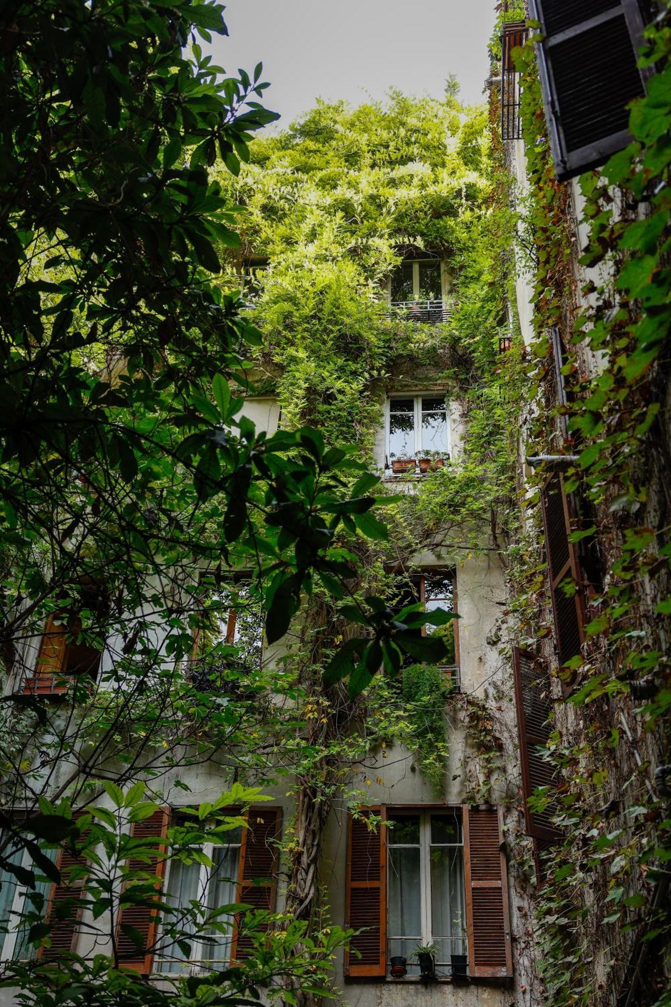Riari House - Residenze Romanae *